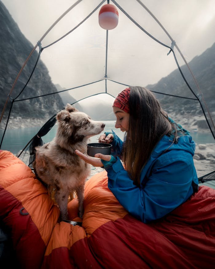 pexels-photo-16881386 Woman camping with her dog by a lakeshore in Huaraz, Áncash, Peru. Perfect adventure setting.