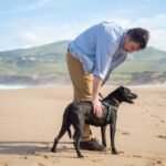 A Man in Blue Polo Shirt Touching a Black Short Coated Dog on Sand