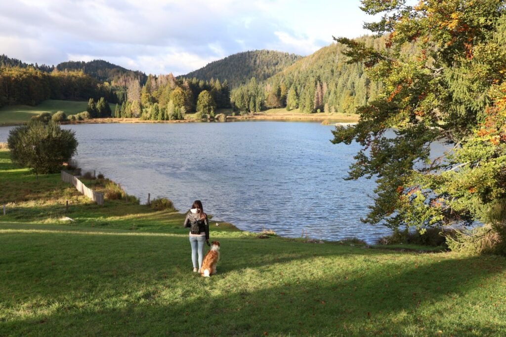 lac-genin-1